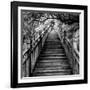 China 10MKm2 Collection - Mountain Woooden Staircase-Philippe Hugonnard-Framed Photographic Print