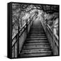 China 10MKm2 Collection - Mountain Woooden Staircase-Philippe Hugonnard-Framed Stretched Canvas