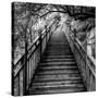 China 10MKm2 Collection - Mountain Woooden Staircase-Philippe Hugonnard-Stretched Canvas