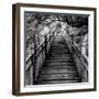 China 10MKm2 Collection - Mountain Woooden Staircase-Philippe Hugonnard-Framed Premium Photographic Print