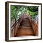 China 10MKm2 Collection - Mountain Woooden Staircase-Philippe Hugonnard-Framed Photographic Print