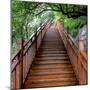 China 10MKm2 Collection - Mountain Woooden Staircase-Philippe Hugonnard-Mounted Photographic Print