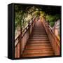 China 10MKm2 Collection - Mountain Woooden Staircase-Philippe Hugonnard-Framed Stretched Canvas