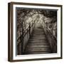 China 10MKm2 Collection - Mountain Woooden Staircase-Philippe Hugonnard-Framed Photographic Print