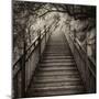 China 10MKm2 Collection - Mountain Woooden Staircase-Philippe Hugonnard-Mounted Photographic Print