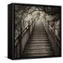 China 10MKm2 Collection - Mountain Woooden Staircase-Philippe Hugonnard-Framed Stretched Canvas