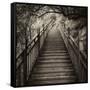 China 10MKm2 Collection - Mountain Woooden Staircase-Philippe Hugonnard-Framed Stretched Canvas
