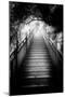 China 10MKm2 Collection - Mountain Woooden Staircase-Philippe Hugonnard-Mounted Photographic Print