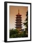 China 10MKm2 Collection - Pagoda at dusk-Philippe Hugonnard-Framed Photographic Print