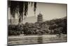 China 10MKm2 Collection - Pagoda-Philippe Hugonnard-Mounted Photographic Print