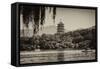 China 10MKm2 Collection - Pagoda-Philippe Hugonnard-Framed Stretched Canvas