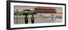 China 10MKm2 Collection - Palace Area of the Forbidden City - Beijing-Philippe Hugonnard-Framed Photographic Print