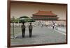 China 10MKm2 Collection - Palace Area of the Forbidden City-Philippe Hugonnard-Framed Photographic Print