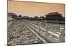 China 10MKm2 Collection - Palace Area of the Forbidden City-Philippe Hugonnard-Mounted Photographic Print