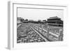 China 10MKm2 Collection - Palace Area of the Forbidden City-Philippe Hugonnard-Framed Photographic Print