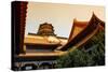 China 10MKm2 Collection - Pavilion of Buddhist - Summer Palace-Philippe Hugonnard-Stretched Canvas