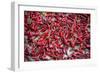 China 10MKm2 Collection - Peppers-Philippe Hugonnard-Framed Photographic Print