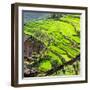 China 10MKm2 Collection - Peppers-Philippe Hugonnard-Framed Photographic Print