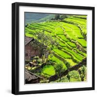 China 10MKm2 Collection - Peppers-Philippe Hugonnard-Framed Photographic Print