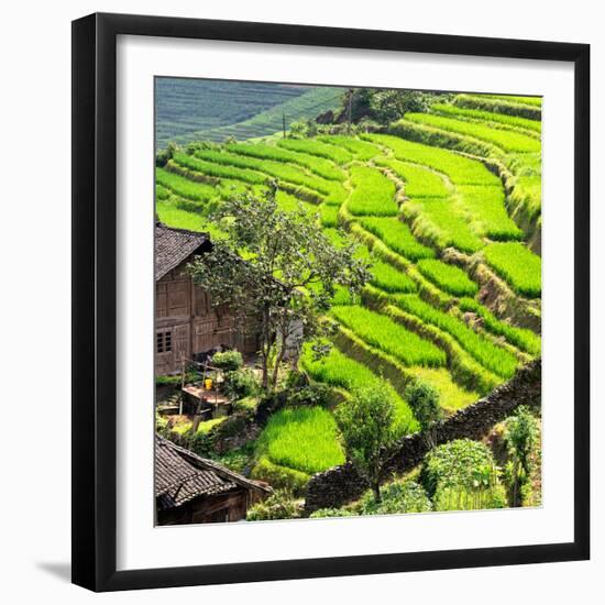 China 10MKm2 Collection - Peppers-Philippe Hugonnard-Framed Photographic Print