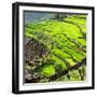 China 10MKm2 Collection - Peppers-Philippe Hugonnard-Framed Photographic Print