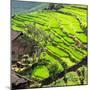 China 10MKm2 Collection - Peppers-Philippe Hugonnard-Mounted Premium Photographic Print