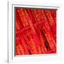 China 10MKm2 Collection - Prayer Flags - Buddha Temple-Philippe Hugonnard-Framed Photographic Print