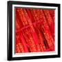 China 10MKm2 Collection - Prayer Flags - Buddha Temple-Philippe Hugonnard-Framed Photographic Print