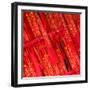 China 10MKm2 Collection - Prayer Flags - Buddha Temple-Philippe Hugonnard-Framed Photographic Print