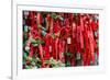 China 10MKm2 Collection - Prayer Ribbons - Buddha Temple-Philippe Hugonnard-Framed Photographic Print