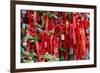 China 10MKm2 Collection - Prayer Ribbons - Buddha Temple-Philippe Hugonnard-Framed Photographic Print