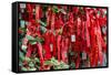 China 10MKm2 Collection - Prayer Ribbons - Buddha Temple-Philippe Hugonnard-Framed Stretched Canvas