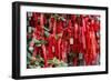 China 10MKm2 Collection - Prayer Ribbons - Buddha Temple-Philippe Hugonnard-Framed Photographic Print