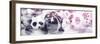 China 10MKm2 Collection - Psychedelic Pandas-Philippe Hugonnard-Framed Photographic Print