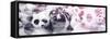 China 10MKm2 Collection - Psychedelic Pandas-Philippe Hugonnard-Framed Stretched Canvas