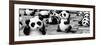 China 10MKm2 Collection - Psychedelic Pandas-Philippe Hugonnard-Framed Photographic Print