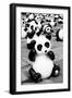 China 10MKm2 Collection - Psychedelic Pandas-Philippe Hugonnard-Framed Photographic Print