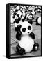 China 10MKm2 Collection - Psychedelic Pandas-Philippe Hugonnard-Framed Stretched Canvas