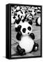 China 10MKm2 Collection - Psychedelic Pandas-Philippe Hugonnard-Framed Stretched Canvas