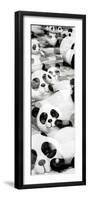 China 10MKm2 Collection - Psychedelic Pandas-Philippe Hugonnard-Framed Photographic Print