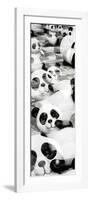 China 10MKm2 Collection - Psychedelic Pandas-Philippe Hugonnard-Framed Photographic Print