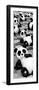 China 10MKm2 Collection - Psychedelic Pandas-Philippe Hugonnard-Framed Photographic Print