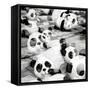 China 10MKm2 Collection - Psychedelic Pandas-Philippe Hugonnard-Framed Stretched Canvas