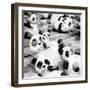 China 10MKm2 Collection - Psychedelic Pandas-Philippe Hugonnard-Framed Photographic Print