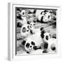 China 10MKm2 Collection - Psychedelic Pandas-Philippe Hugonnard-Framed Photographic Print