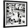 China 10MKm2 Collection - Psychedelic Pandas-Philippe Hugonnard-Framed Photographic Print