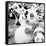 China 10MKm2 Collection - Psychedelic Pandas-Philippe Hugonnard-Framed Stretched Canvas