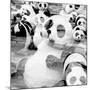 China 10MKm2 Collection - Psychedelic Pandas-Philippe Hugonnard-Mounted Photographic Print