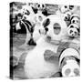 China 10MKm2 Collection - Psychedelic Pandas-Philippe Hugonnard-Stretched Canvas