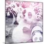 China 10MKm2 Collection - Psychedelic Pandas-Philippe Hugonnard-Mounted Photographic Print